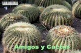 Amistad y cactus