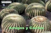 Amigos   cactus[1].pps ip