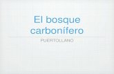 El bosque carbonífero en Puertollano