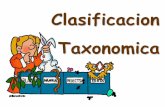 Clasificacion taxonomica