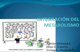 Repaso e integracion de rutas metabolicas