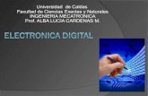 Presentacion electronica digital