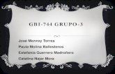 GBI 744 grupo-3