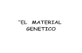 El  Material  Genetico 2º Medio 2009