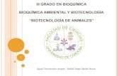 Biotecnología Animal