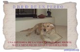 Diario De Un Perro 2 1814