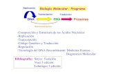 Acidos nucleicos(ebn)
