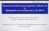Ibersid 2013 : Nueva herramienta para la gestión y difusión de la bibliografía recomendada de la UZ: BR_13