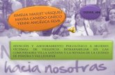 Atención y asesoramiento psicológico a mujeres víctimas de violencia intrafamiliar en comunidades de villa santana y la nevada de la ciudad de Pereira y Valledupar.
