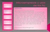 Microempresas Y Usos De Las Tic