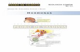 PDV: Biología Guía N°11 [4° Medio] (2012)