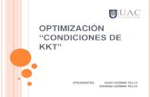 Presentacion optimizacion CONDICIONES kkt