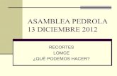 Asamblea pedrola 13 diciembre 2012
