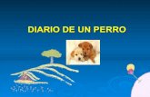 Diario de un perro (Conciencia perruna)