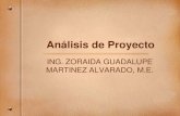 Análisis de proyecto- ZORAIDA