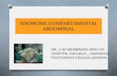 Síndrome compartamental abdominal definición, diagnóstico y tratamiento , DR MEMBREÑO CG