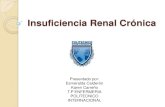 Insuficencia renal cronica