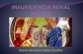 Insuficiencia renal aguda Upao Trujillo Peru