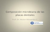 Clase 3.  composicion microbiana de las placas dentales.