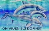 dofins d'aigua dolça i salada