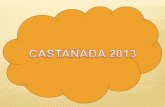 Casta±ada 2013
