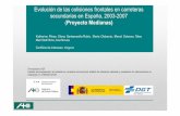 Evolución de las colisiones frontales en carreteras secundarias en España, 2003-2007 (Proyecto Medianas)