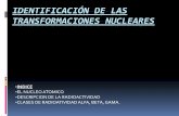 Transformaciones nucleares danni