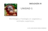 Unidad 1 biologia iii
