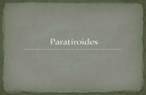 Paratiroides (fisiologia y acciones odontologicas)