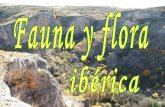 Fauna y flora iberica