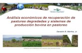 Análisis económicos de recuperación de pasturas degradadas y sistemas de producción bovina en pastoreo