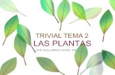 Trivial plantas