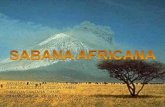 Sabana africana