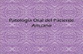 Patologia oral senecto