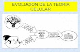 EVOLUCION DE LA TEORIA CELULAR