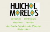 Huichol morelos pp