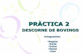 PRACTICA NO 2 DESCORNE DE BOVINOS