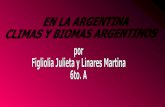 Biomas en La Argentina por Julieta Figliolia y Martina Linares