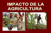 Impacto de la agricultura expo equipo[8]