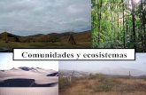 Comunidades ecosistemas web