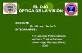 Optica De La Vision