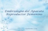 01 semana EmbriologíA Del Aparato Reproductor Femenino