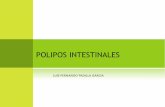 Polipos intestinales