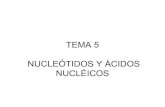 Tema 5. LOS ÁCIDOS NUCLEICOS