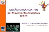 Presentación del Diseño Organizativo FEAPS