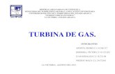 Turbinas de gas_expocision