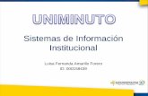 Gestión Básica de la Información - Sistemas de información institucional