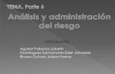 Analisis Y Administracion Del Riesgo