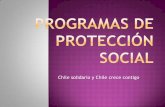 Programas de protección social