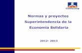 Normas y proyectos ses 2012  2013